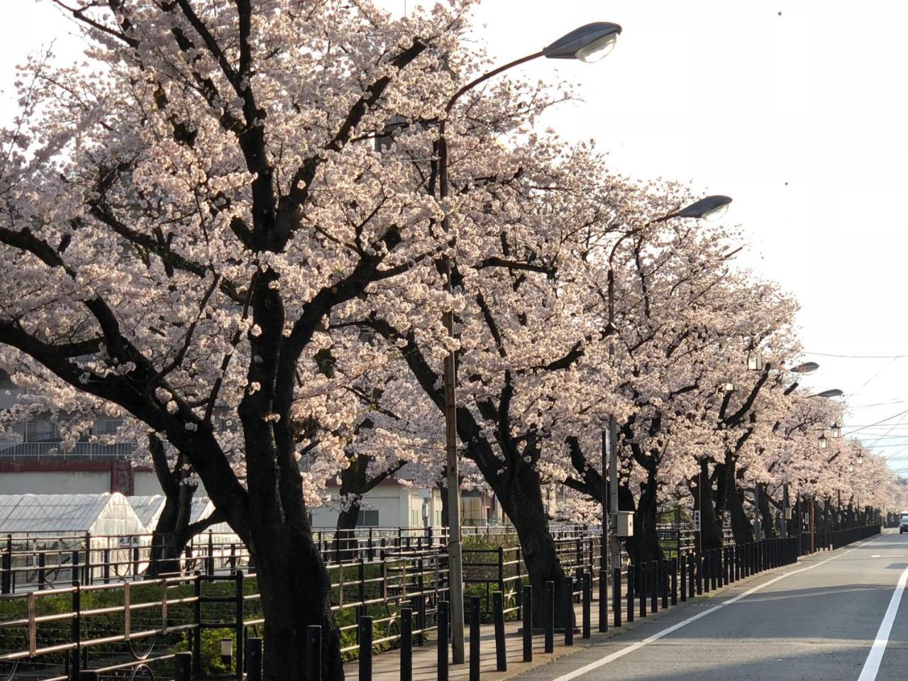 Hotel Beautiful Japanese Garden Kagetsu Fuefuki Exterior foto